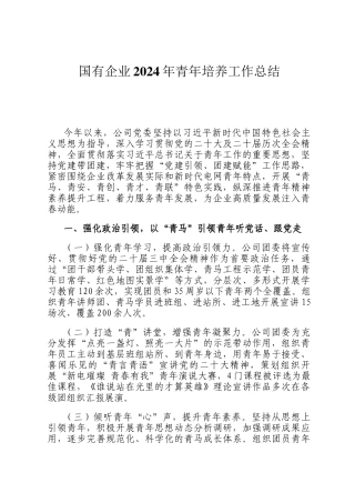 国有企业2024年青年培养工作总结