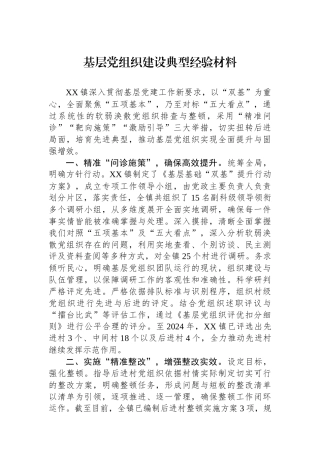 基层党组织建设典型经验材料