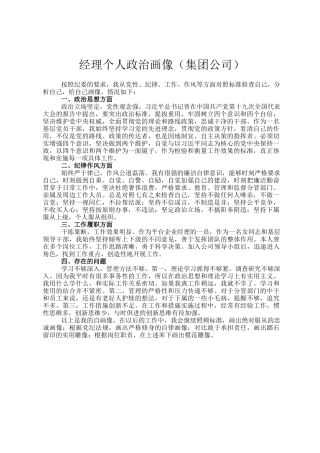经理个人政治画像（集团公司）