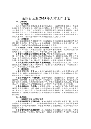某国有企业2025年人才工作计划