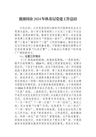 能源国企2024年抓基层党建工作总结