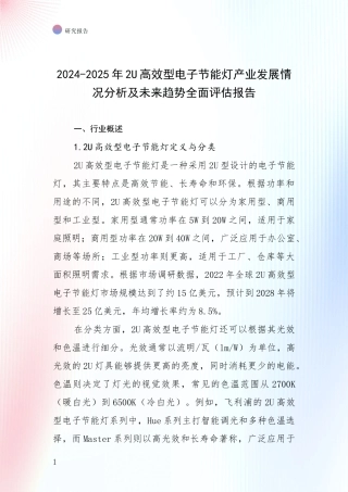 2024-2025年2U高效型电子节能灯产业发展情况分析及未来趋势全面评估报告