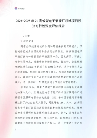 2024-2025年2U高效型电子节能灯领域项目投资可行性深度评估报告