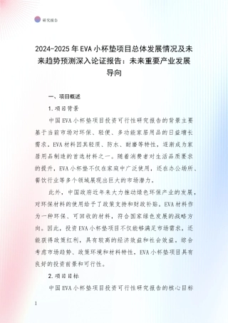 2024-2025年EVA小杯垫项目总体发展情况及未来趋势预测深入论证报告：未来重要产业发展导向
