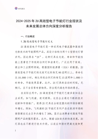 2024-2025年2U高效型电子节能灯行业现状及未来发展总体方向深度分析报告