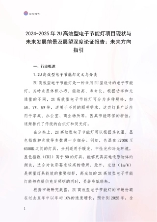 2024-2025年2U高效型电子节能灯项目现状与未来发展前景及展望深度论证报告：未来方向指引
