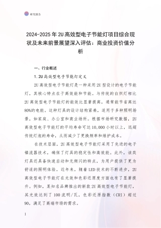 2024-2025年2U高效型电子节能灯项目综合现状及未来前景展望深入评估：商业投资价值分析