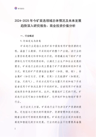 2024-2025年今矿采选领域总体情况及未来发展趋势深入研究报告：商业投资价值分析