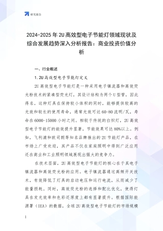 2024-2025年2U高效型电子节能灯领域现状及综合发展趋势深入分析报告：商业投资价值分析