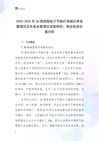2024-2025年2U高效型电子节能灯领域总体发展情况及未来发展情况深度研究：商业投资价值分析