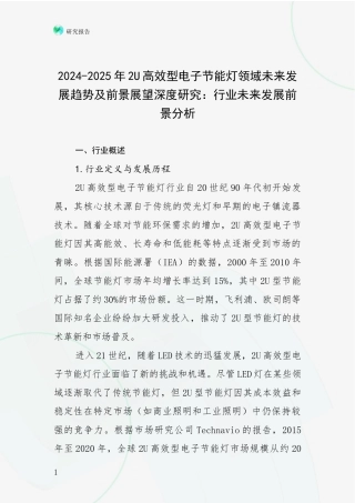 2024-2025年2U高效型电子节能灯领域未来发展趋势及前景展望深度研究：行业未来发展前景分析