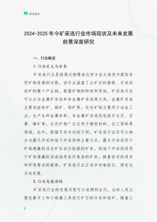 2024-2025年今矿采选行业市场现状及未来发展前景深度研究