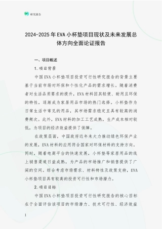 2024-2025年EVA小杯垫项目现状及未来发展总体方向全面论证报告