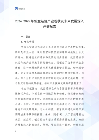 2024-2025年低空经济产业现状及未来发展深入评估报告