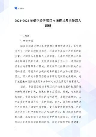 2024-2025年低空经济项目市场现状及前景深入调研