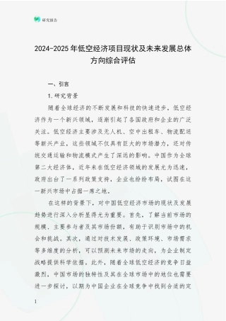 2024-2025年低空经济项目现状及未来发展总体方向综合评估