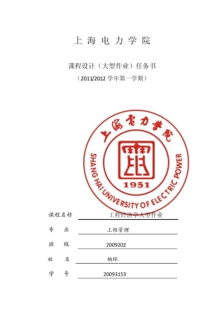 工程经济学大型作业