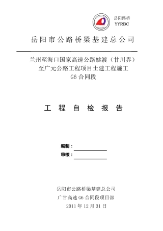 工程自检报告