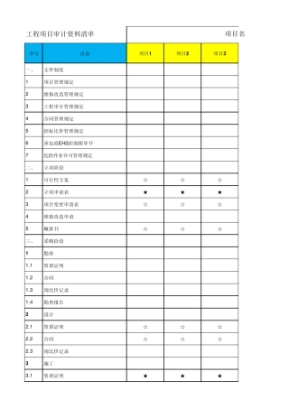 工程项目审计表格