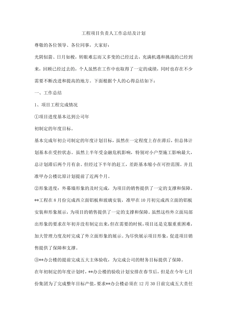 工程项目负责人工作总结及计划_第1页