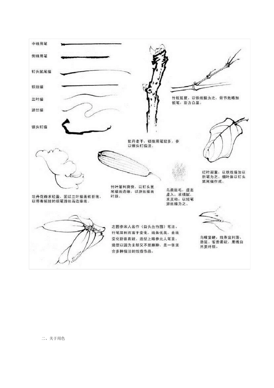 工笔牡丹设色技法及高清白描集_第2页