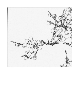 工笔白描底稿A4切割打印版