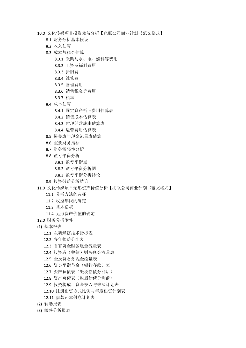 文化传媒商业计划书范文格式(重要)_第3页