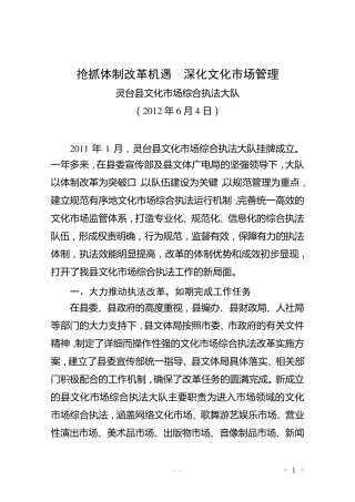 文化市场综合执法大队先进典型材料