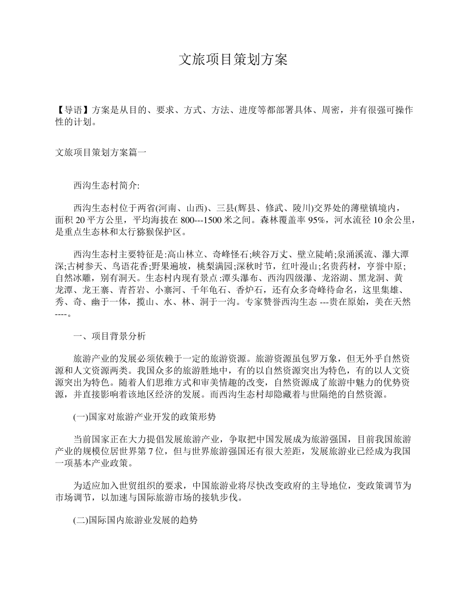 文旅项目策划方案_第1页