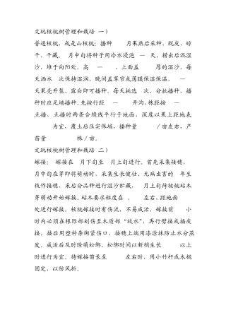文玩核桃的栽种