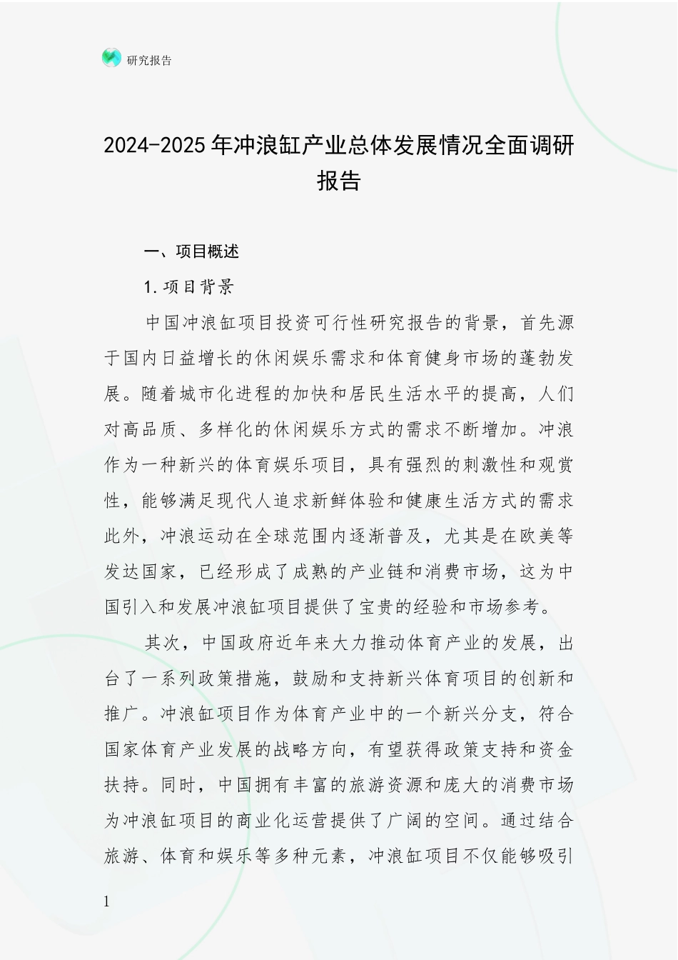 2024-2025年冲浪缸产业总体发展情况全面调研报告_第1页