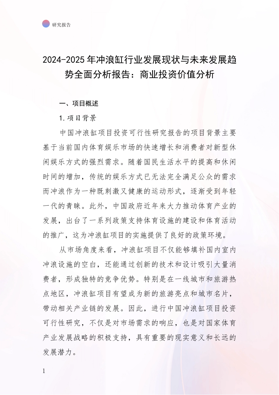 2024-2025年冲浪缸行业发展现状与未来发展趋势全面分析报告：商业投资价值分析_第1页