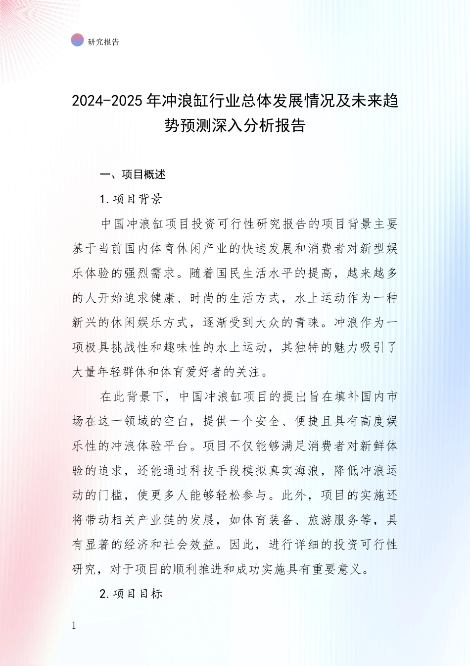 2024-2025年冲浪缸行业总体发展情况及未来趋势预测深入分析报告_第1页
