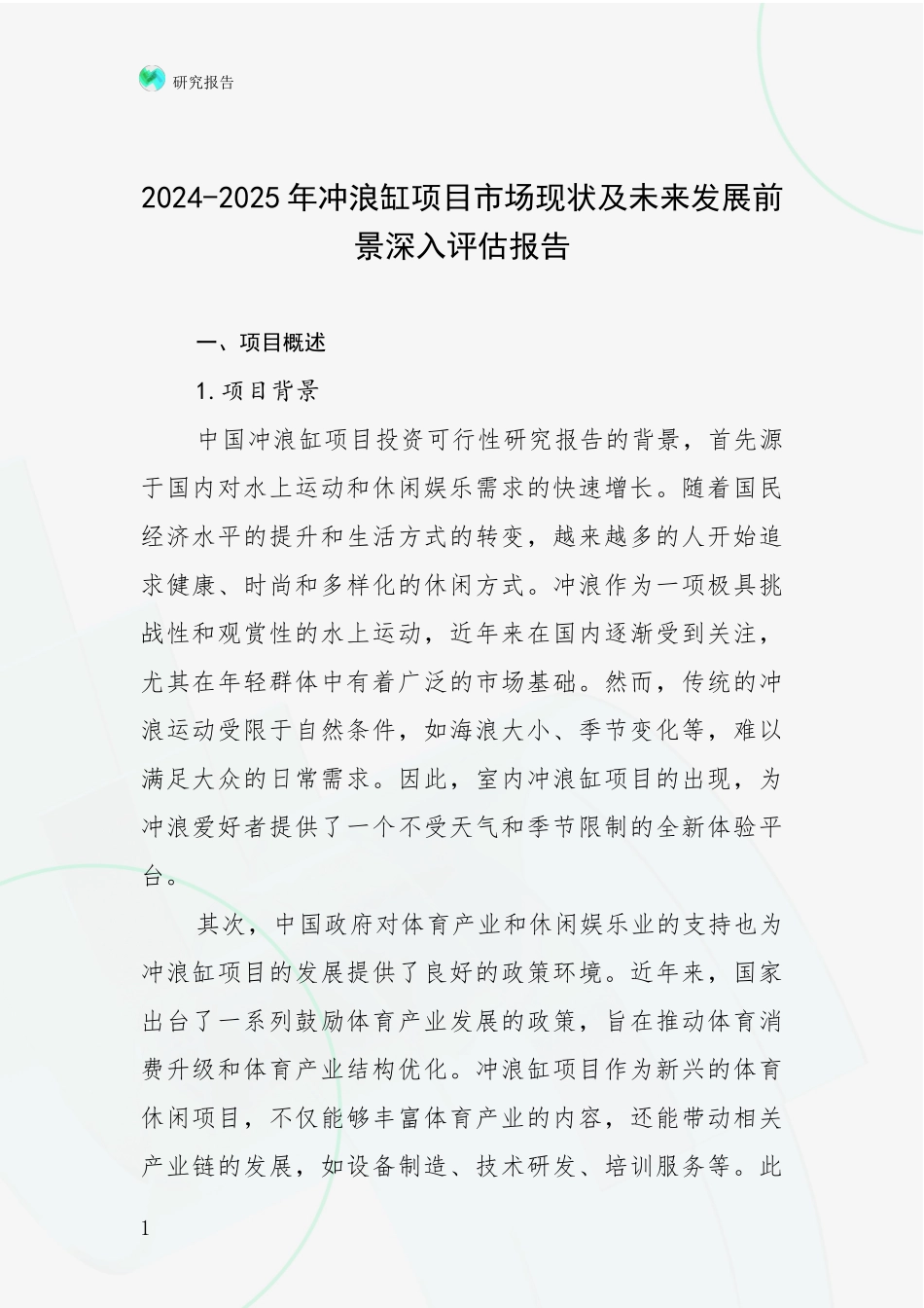 2024-2025年冲浪缸项目市场现状及未来发展前景深入评估报告_第1页