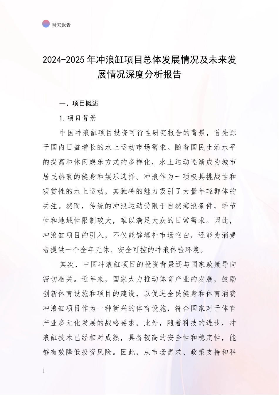 2024-2025年冲浪缸项目总体发展情况及未来发展情况深度分析报告_第1页