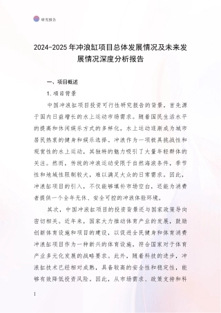 2024-2025年冲浪缸项目总体发展情况及未来发展情况深度分析报告