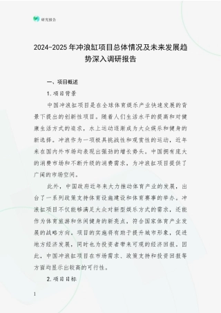 2024-2025年冲浪缸项目总体情况及未来发展趋势深入调研报告