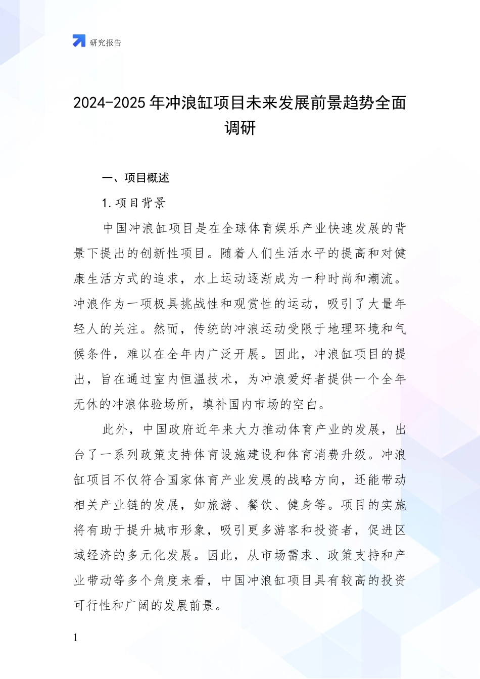 2024-2025年冲浪缸项目未来发展前景趋势全面调研_第1页