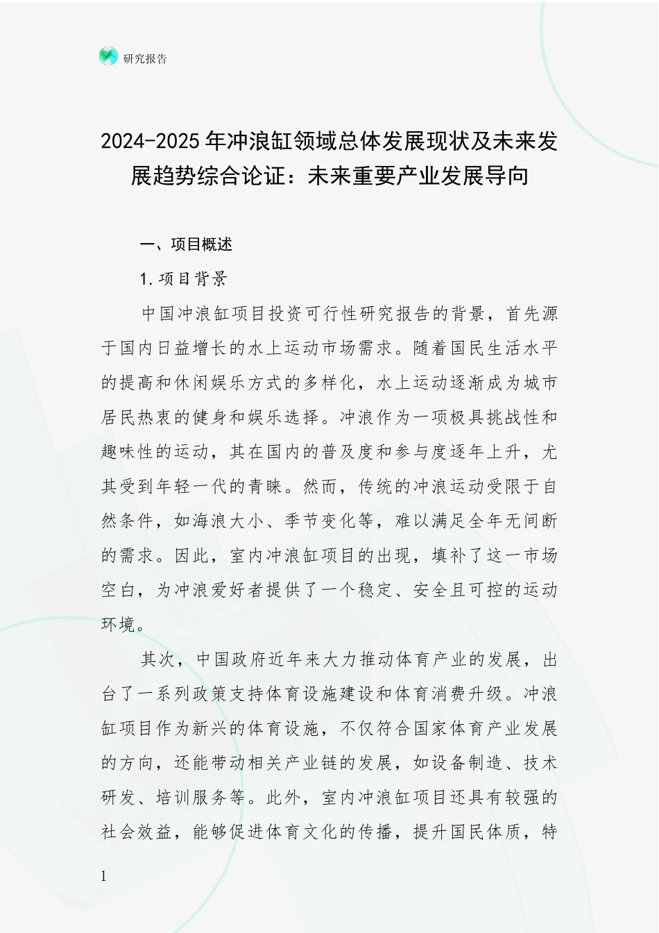 2024-2025年冲浪缸领域总体发展现状及未来发展趋势综合论证：未来重要产业发展导向_第1页