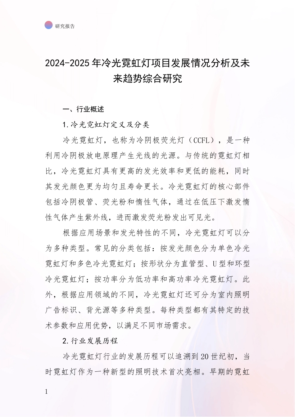 2024-2025年冷光霓虹灯项目发展情况分析及未来趋势综合研究_第1页