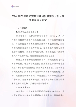 2024-2025年冷光霓虹灯项目发展情况分析及未来趋势综合研究
