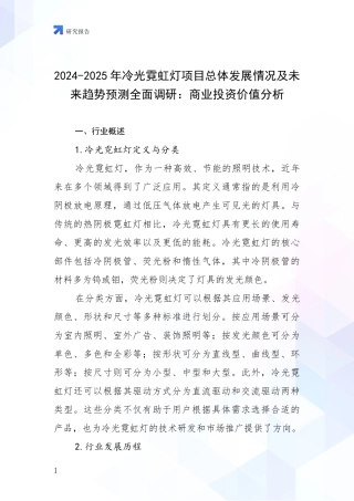 2024-2025年冷光霓虹灯项目总体发展情况及未来趋势预测全面调研：商业投资价值分析