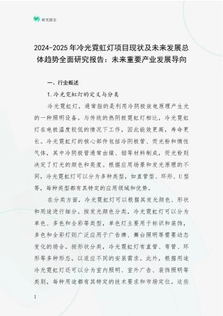 2024-2025年冷光霓虹灯项目现状及未来发展总体趋势全面研究报告：未来重要产业发展导向
