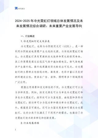 2024-2025年冷光霓虹灯领域总体发展情况及未来发展情况综合调研：未来重要产业发展导向