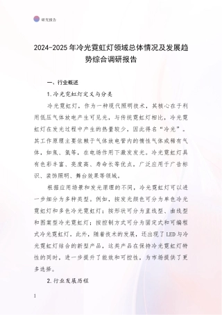 2024-2025年冷光霓虹灯领域总体情况及发展趋势综合调研报告