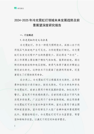 2024-2025年冷光霓虹灯领域未来发展趋势及前景展望深度研究报告