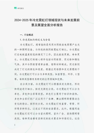 2024-2025年冷光霓虹灯领域现状与未来发展前景及展望全面分析报告