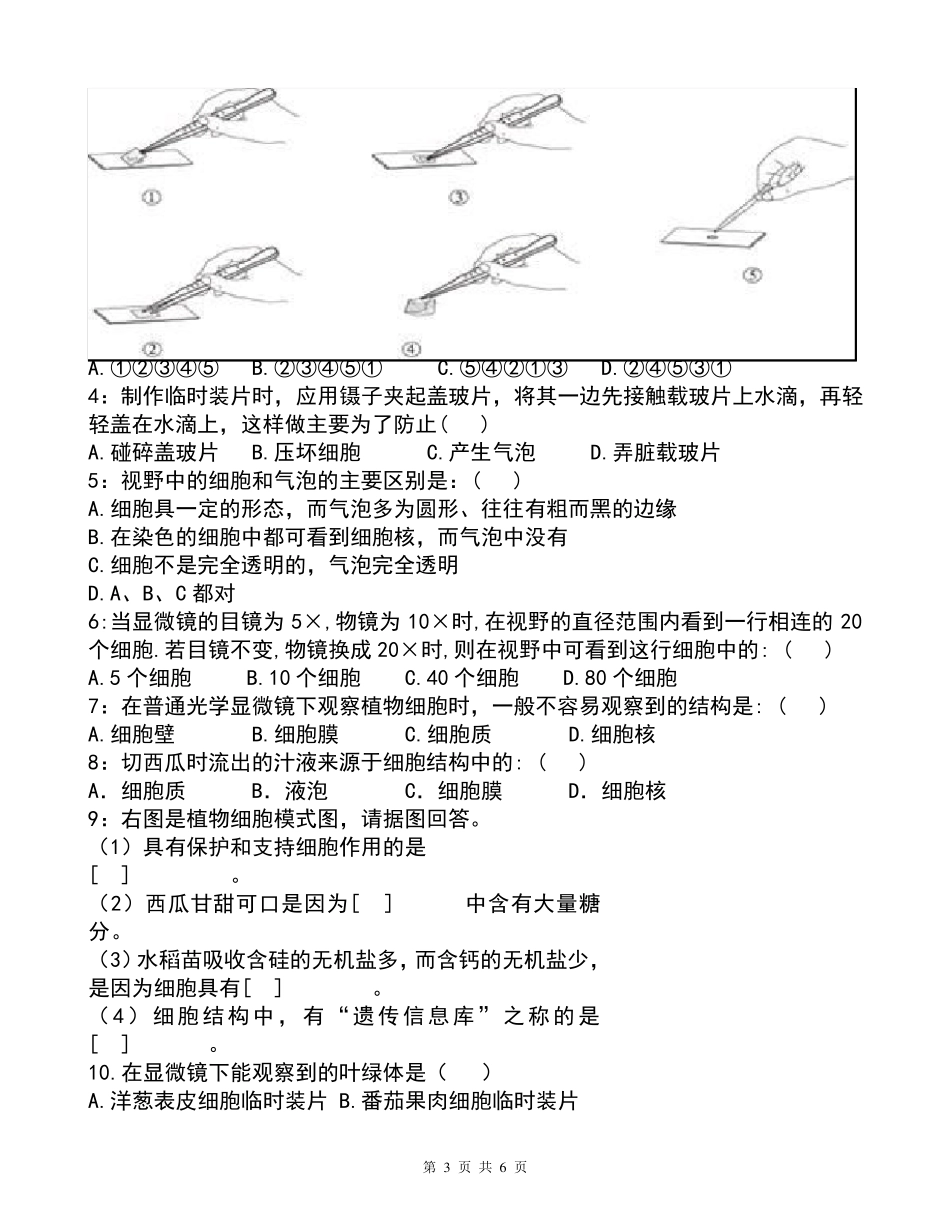 新人教版七年级生物上册第二单元第一章练习题_第3页