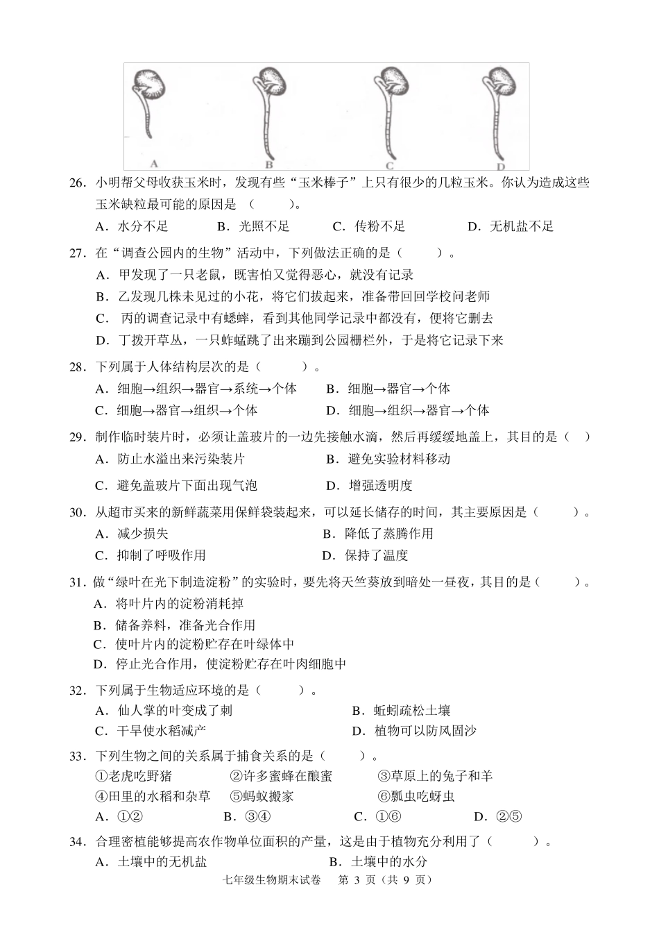 新人教版七年级生物上期末考试卷及答案_第3页