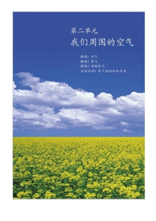 新人教版初三化学电子课本